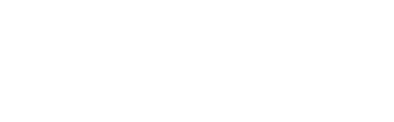 Arcelor Mittal