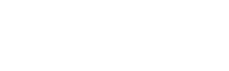 Caesb